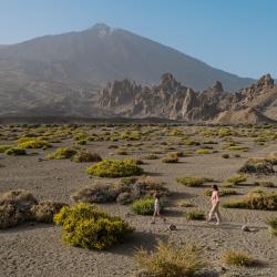 Canary Islands Tourism Hollywood