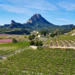 Murcia Tourism Hollywood