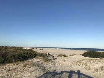 Jamaica Bay 307a 1 Bedroom Condo