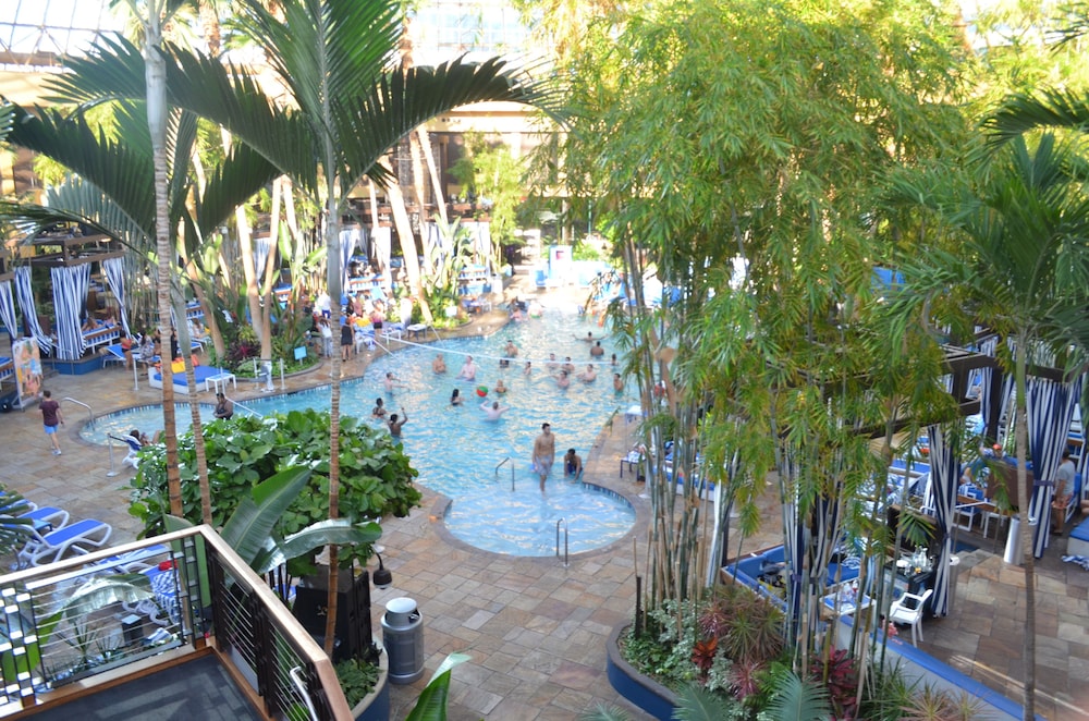 Harrah's Resort Atlantic City - thumb 5