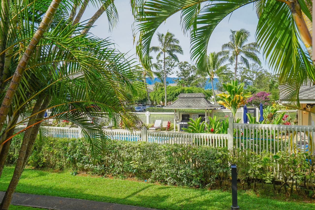 Sandpiper #105b - thumb 24