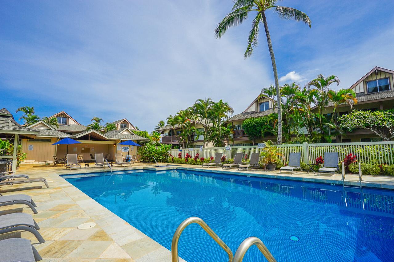 Sandpiper #105b - thumb 3