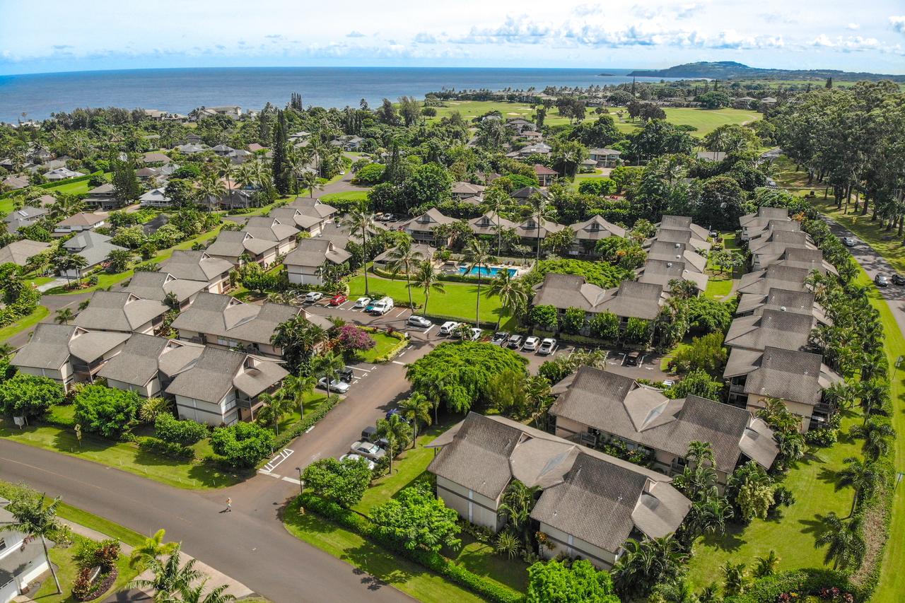 Sandpiper #105b - thumb 16