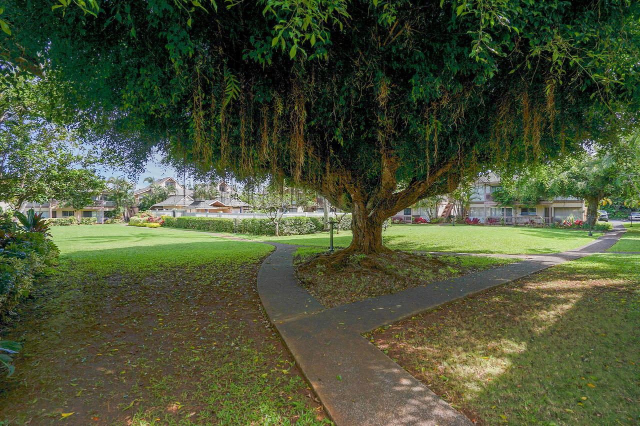 Sandpiper #105b - thumb 22