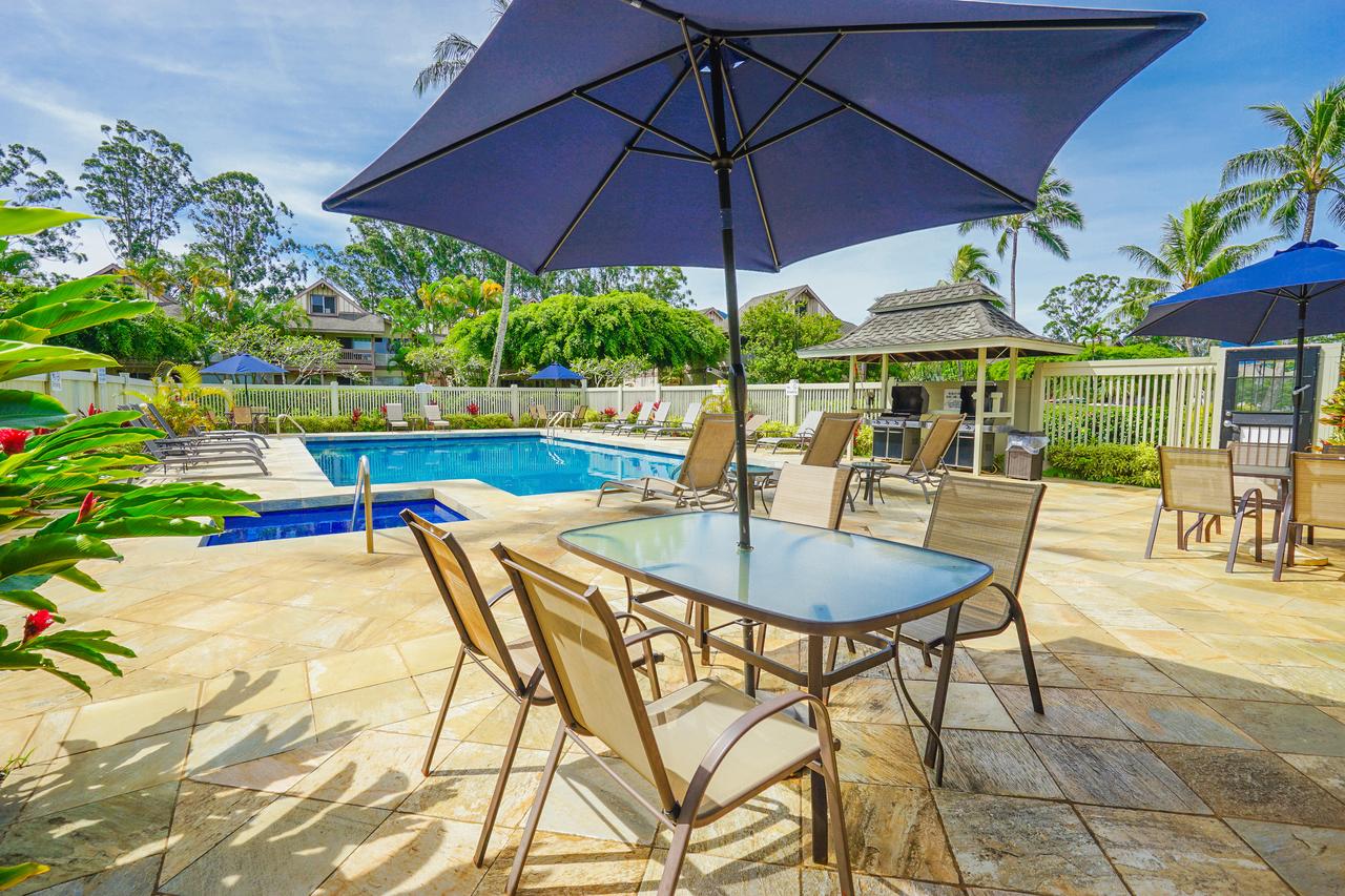 Sandpiper #105b - thumb 29