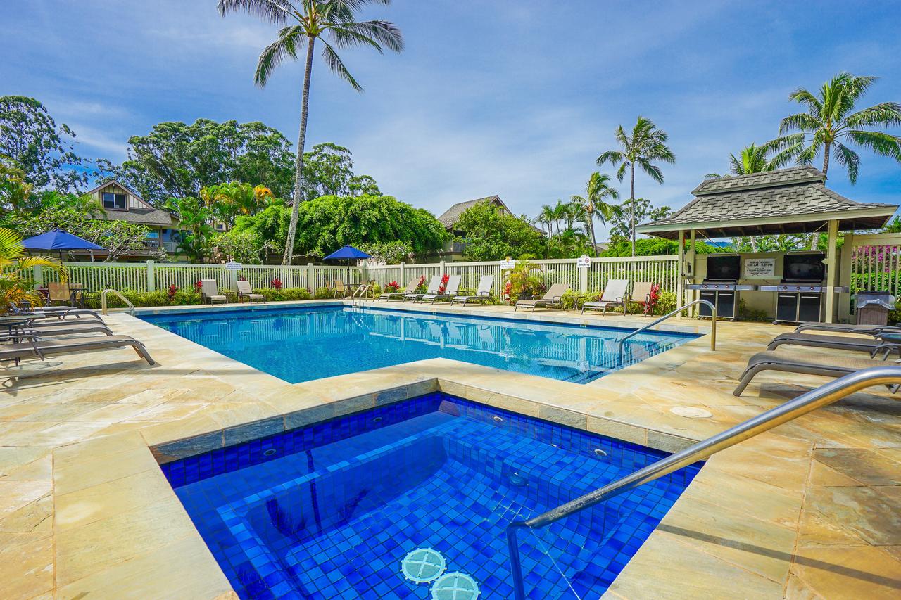 Sandpiper #105b - thumb 28