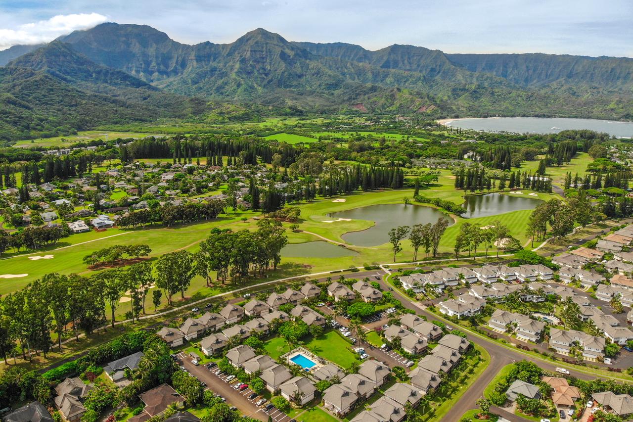 Sandpiper #105b - thumb 19