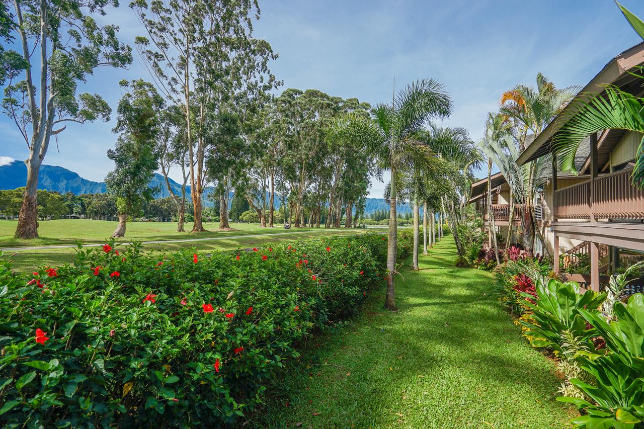 Sandpiper #105b - thumb 21