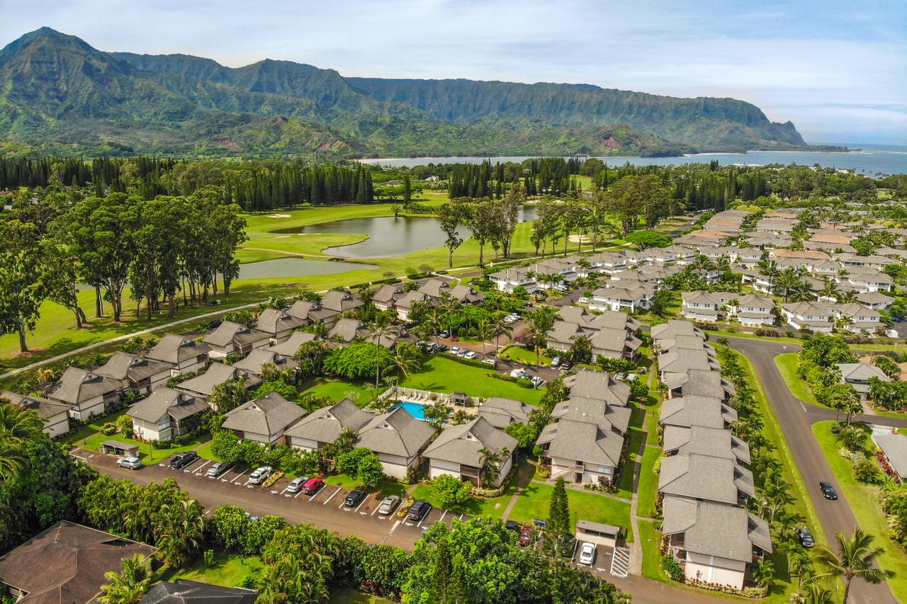 Sandpiper #105b - thumb 17