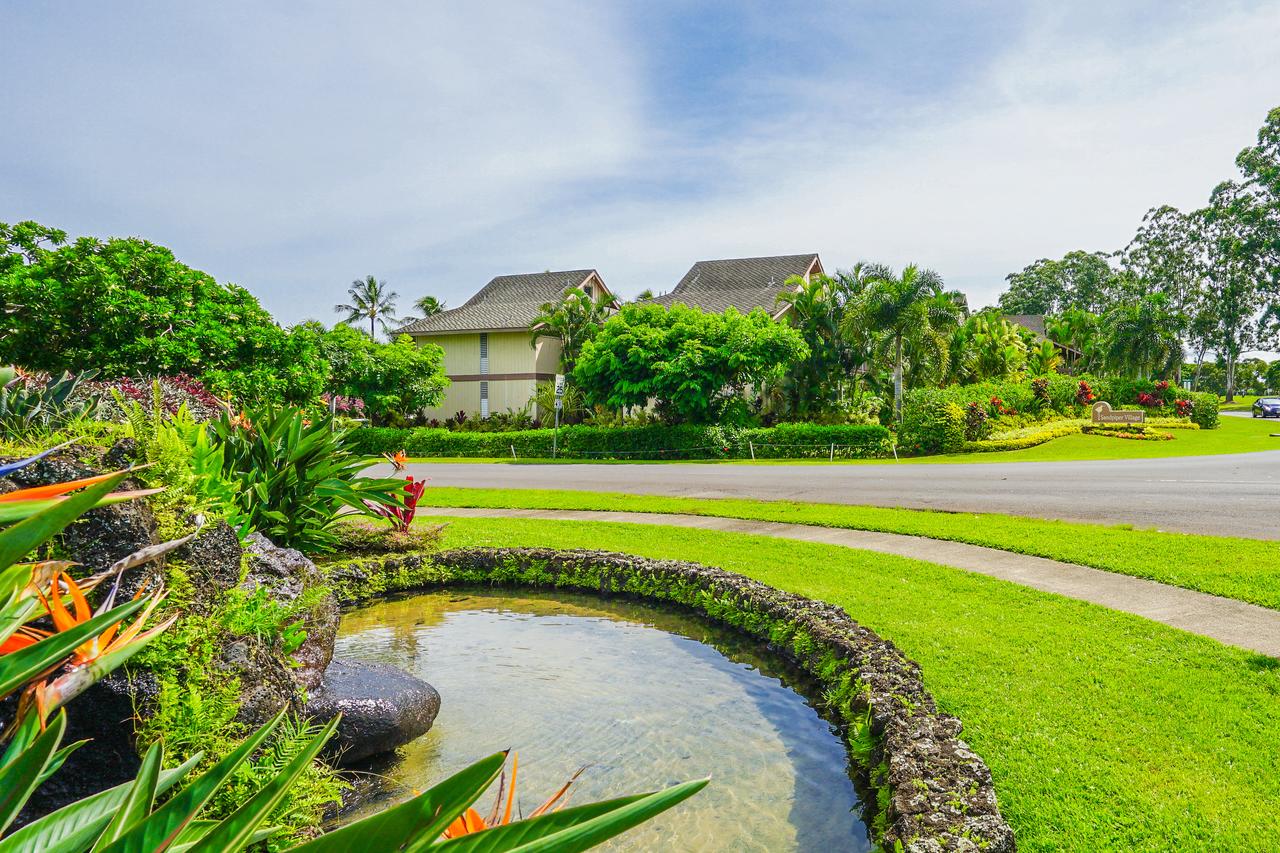 Sandpiper #105b - thumb 25