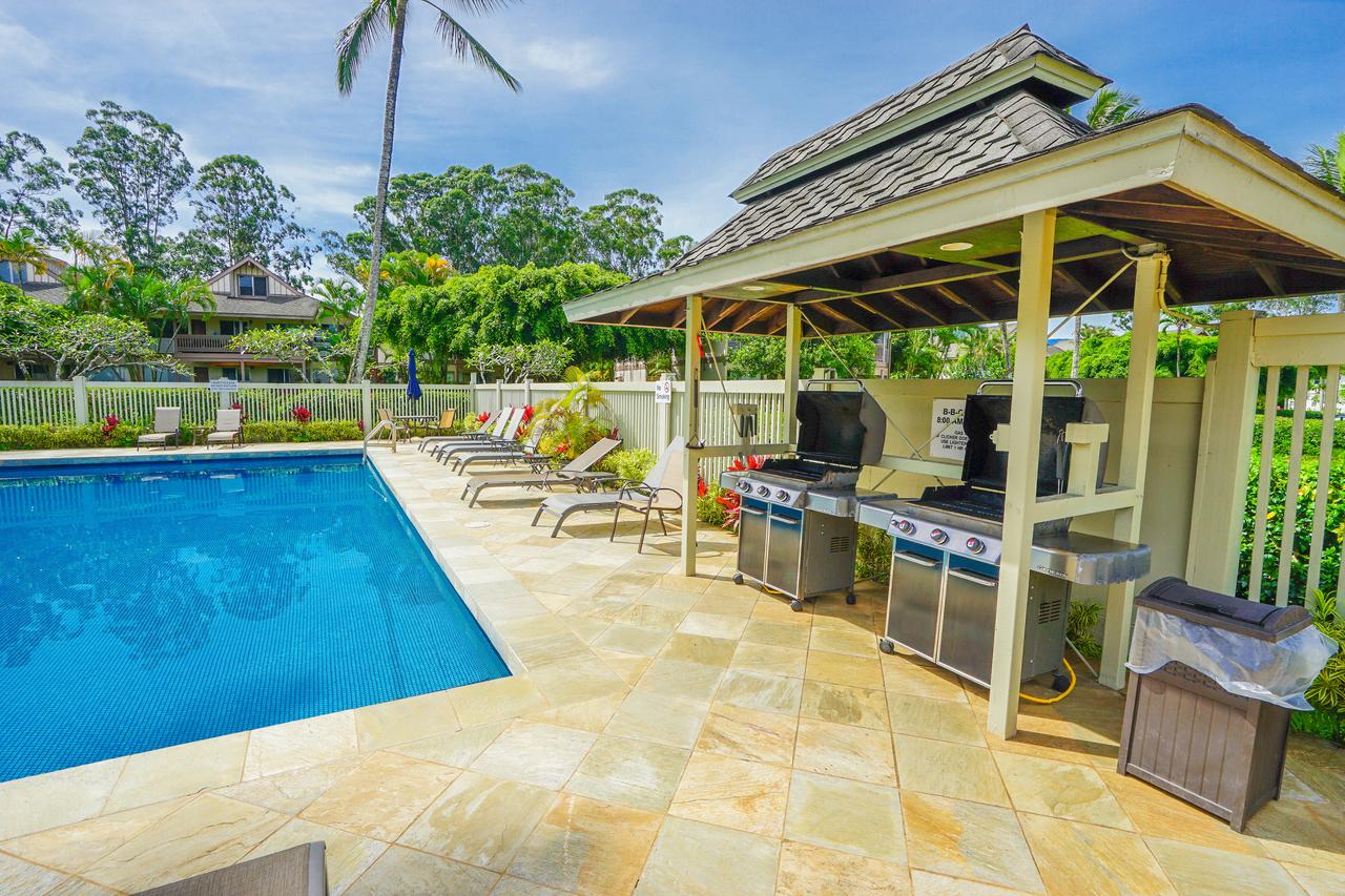 Sandpiper #105b - thumb 26