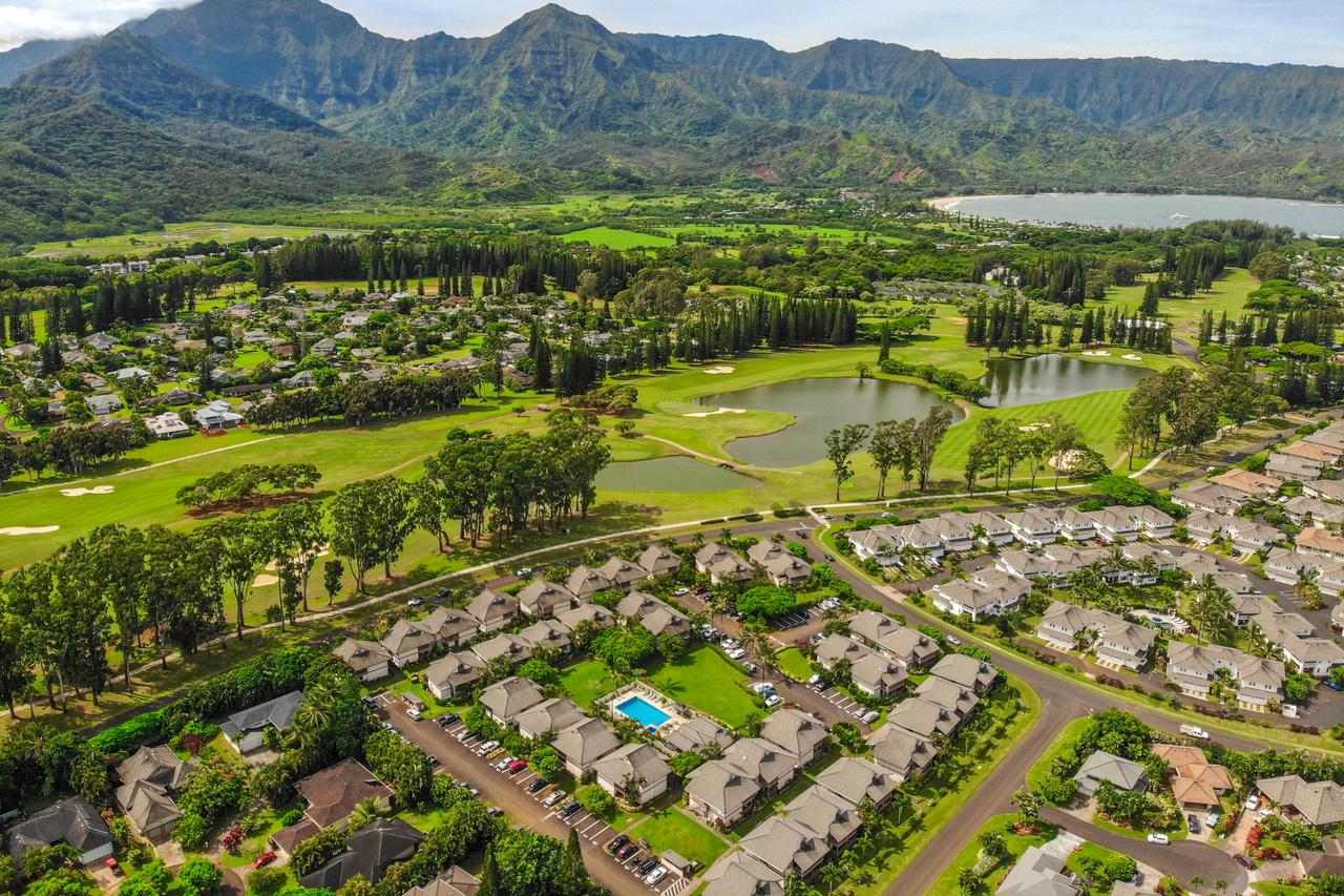 Sandpiper #105b - thumb 14