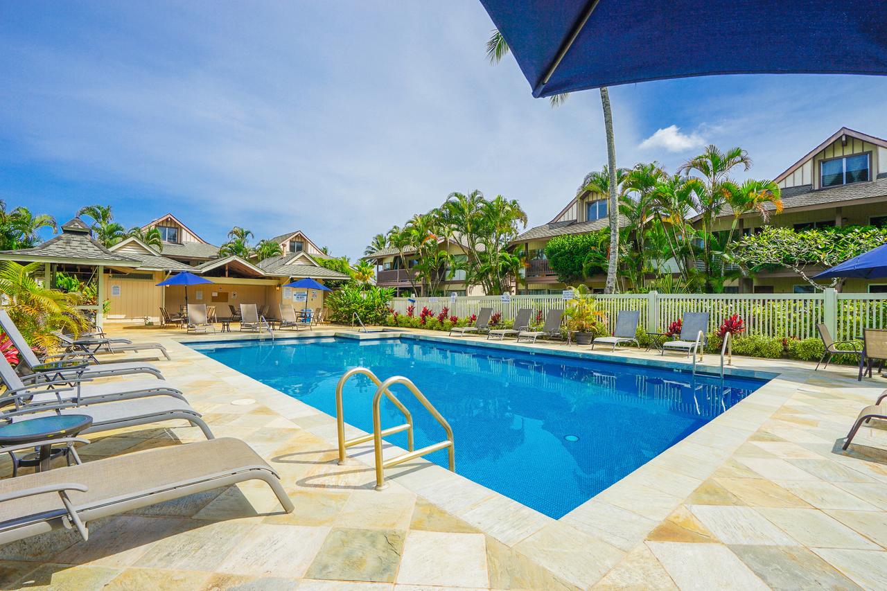 Sandpiper #105b - thumb 30