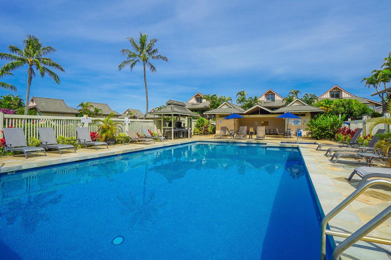 Sandpiper #105b - thumb 27