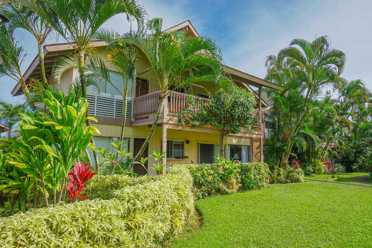 Sandpiper #105b - thumb 20