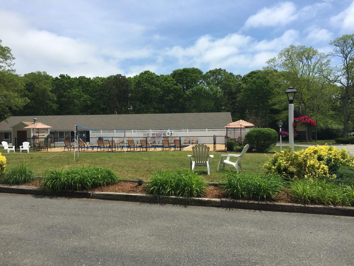 Viking Shores Motor Inn - thumb 4