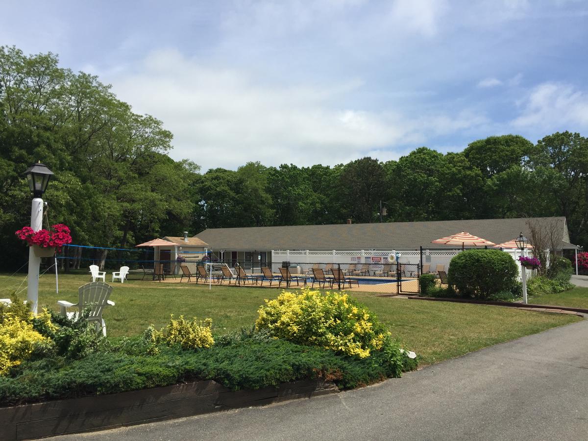 Viking Shores Motor Inn - thumb 2