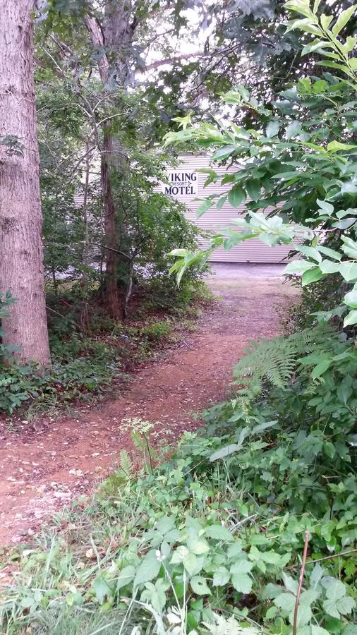Viking Shores Motor Inn - thumb 21