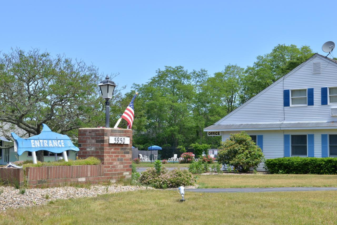 Blue Dolphin Inn - thumb 3