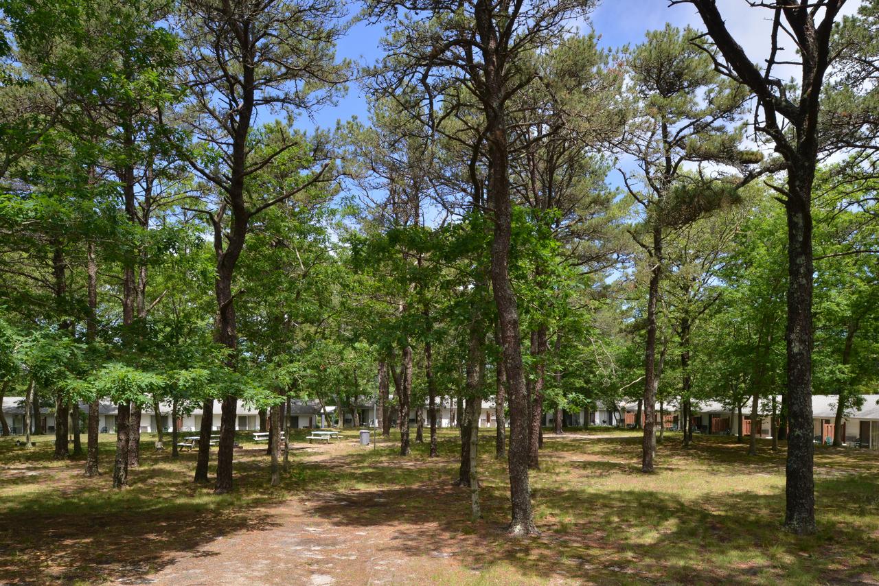 Blue Dolphin Inn - thumb 6