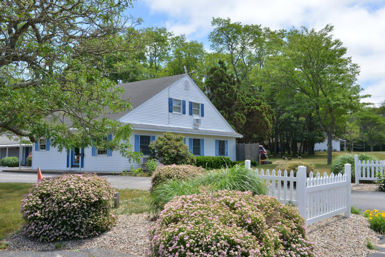 Blue Dolphin Inn - thumb 0