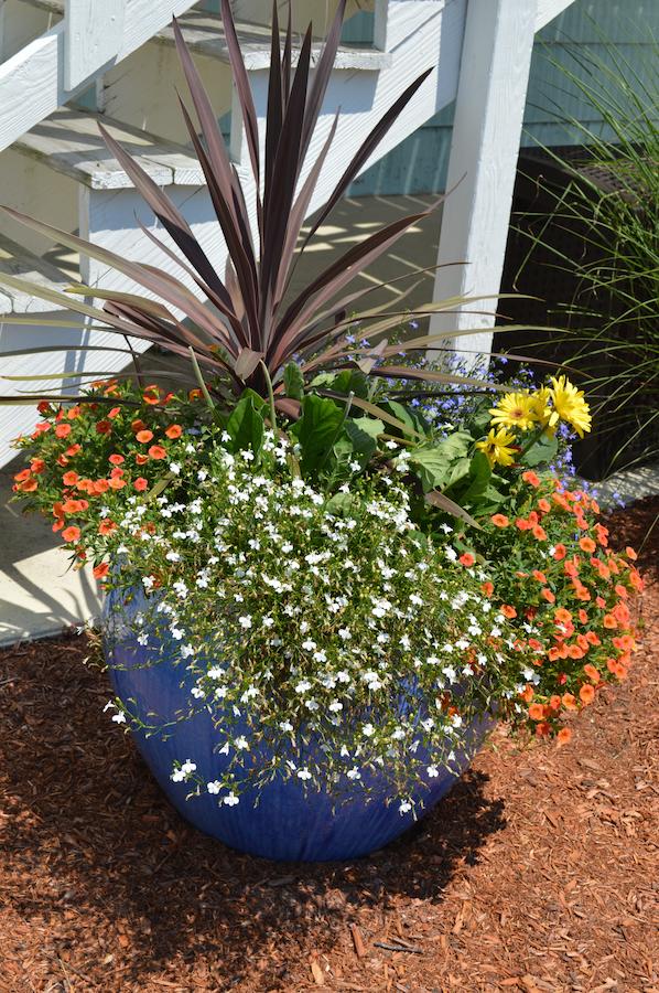 The Escape Inn - thumb 16