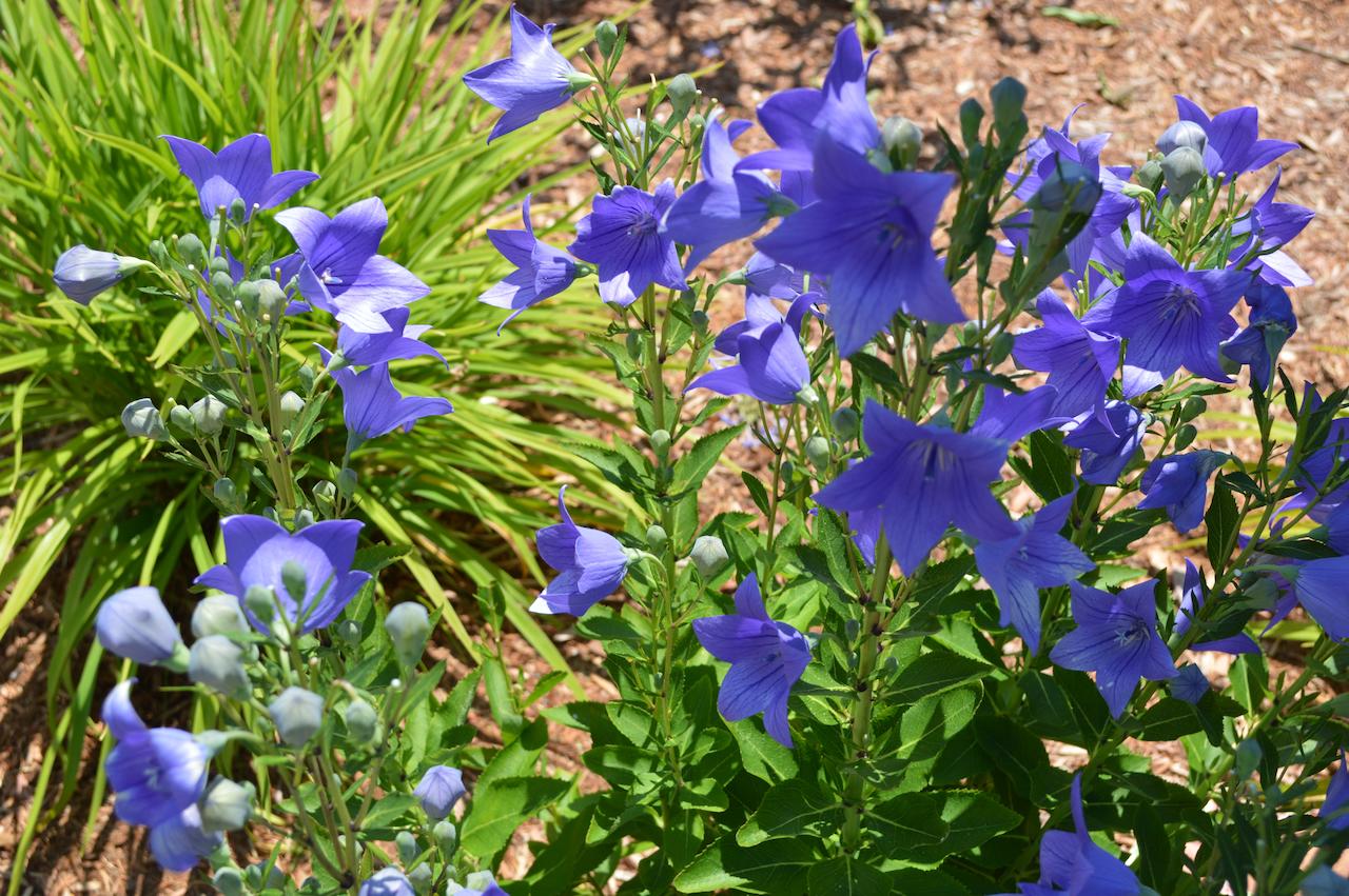 The Escape Inn - thumb 17