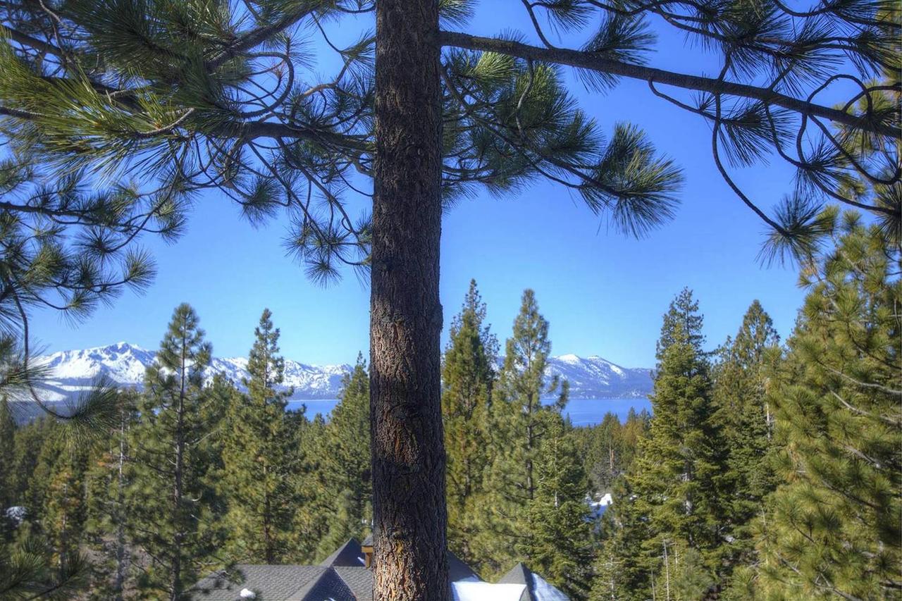 Crest View Chalet - thumb 1