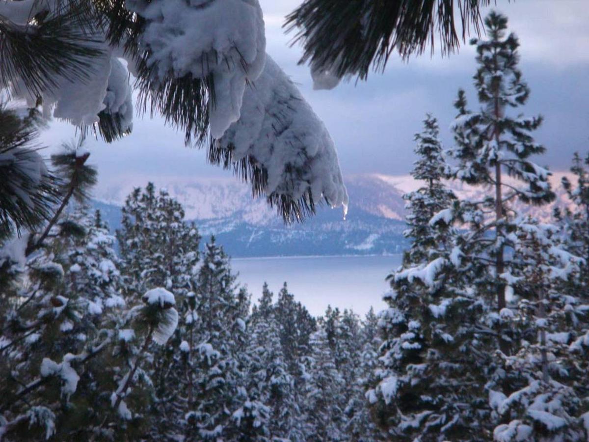 Crest View Chalet - thumb 2