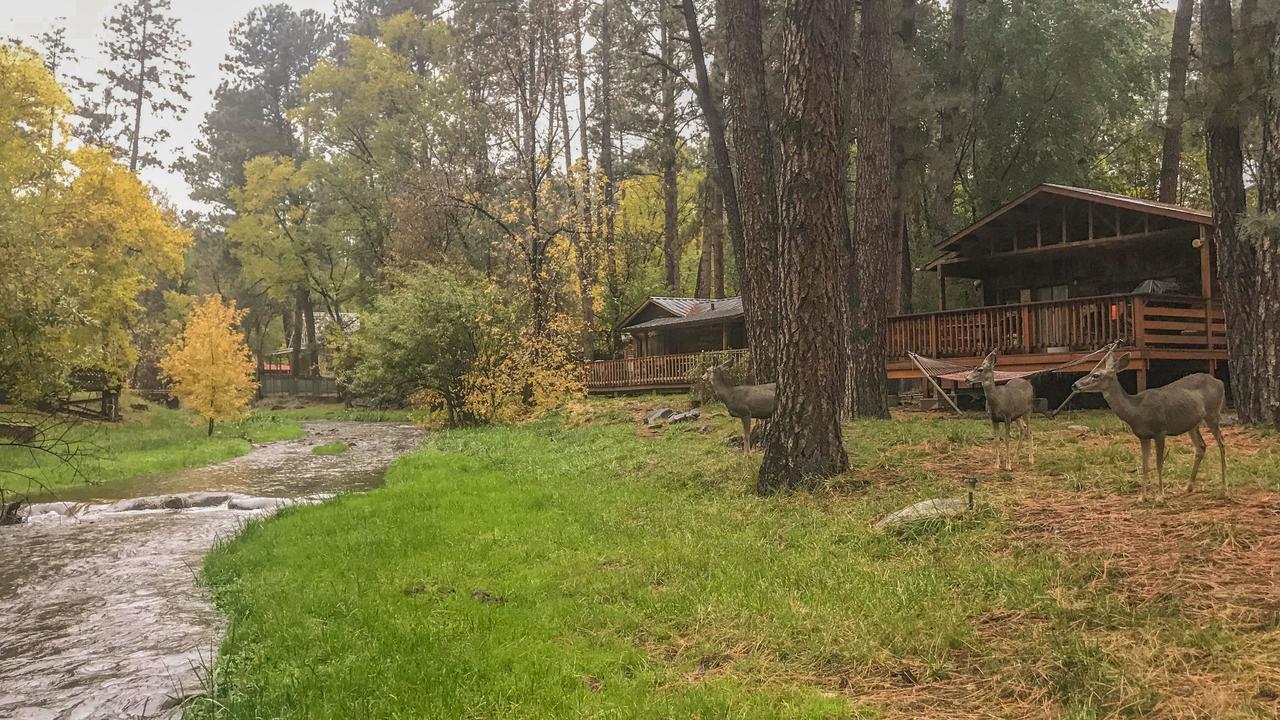 Whispering Pine Cabins - River's Edge - thumb 6