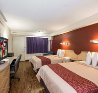 Red Roof Inn Hickory - Tourism Hollywood