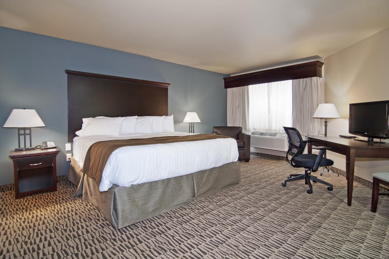 The Watford - thumb 6