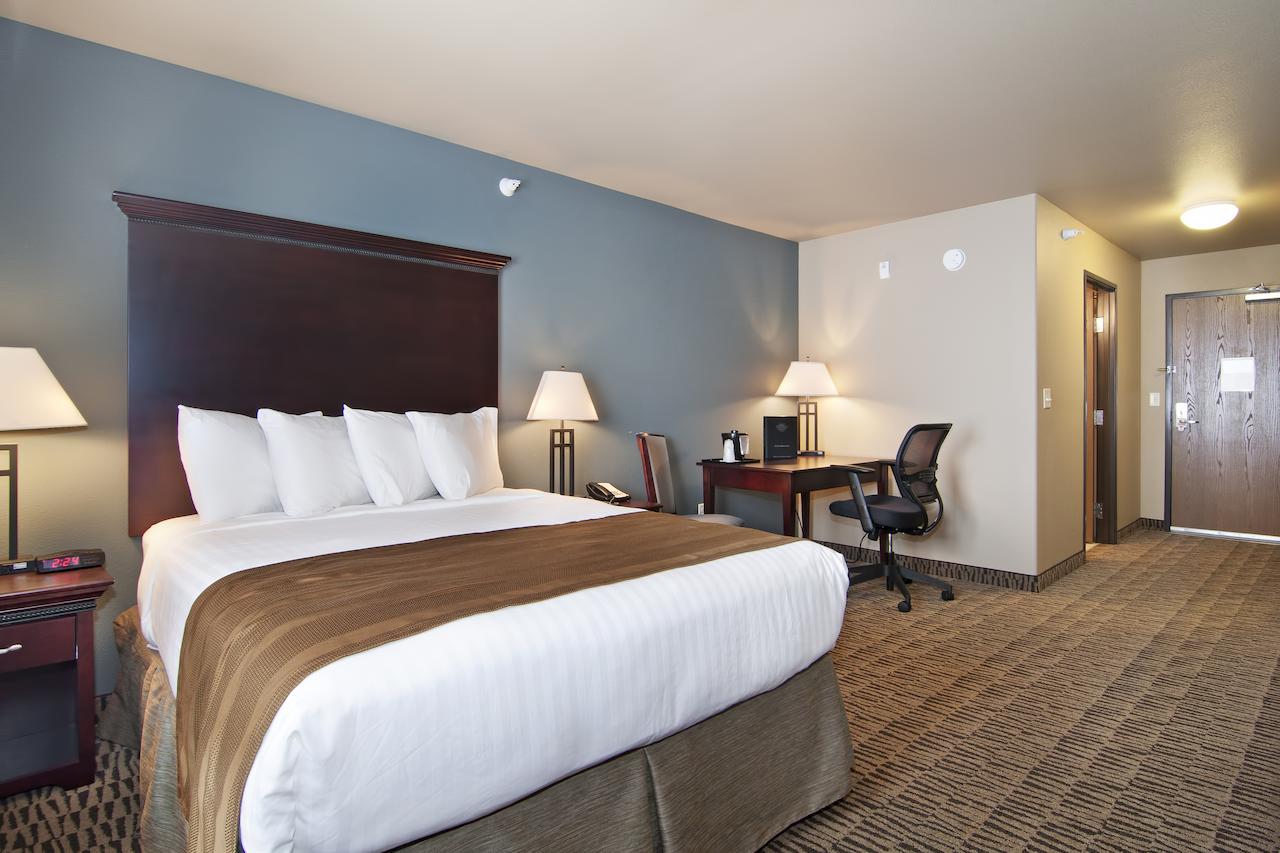 The Watford - thumb 3