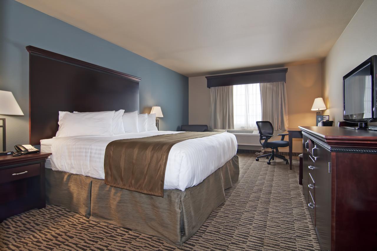 The Watford - thumb 4