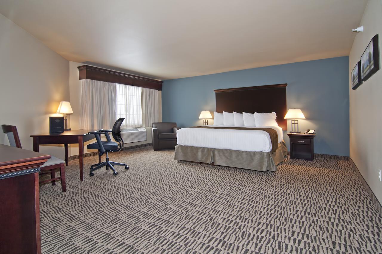 The Watford - thumb 16