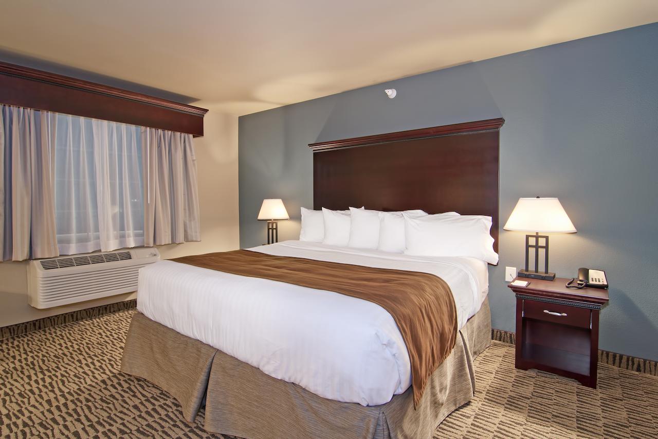 The Watford - thumb 8