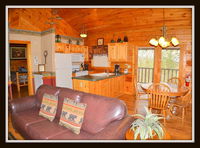 Almost Paradise Cabin Tourism Hollywood