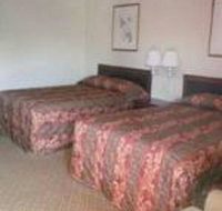 Wedgewood Motor Inn - Tourism Hollywood