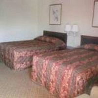 Booking Blackstone Tourism Hollywood