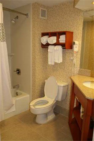 Hampton Inn Wheeling - thumb 10