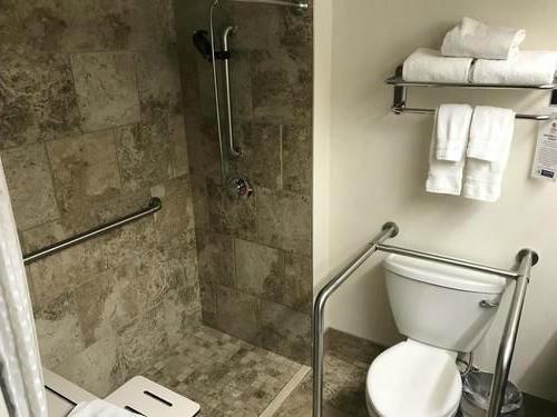 Best Western Plus InnTowner Madison - thumb 10