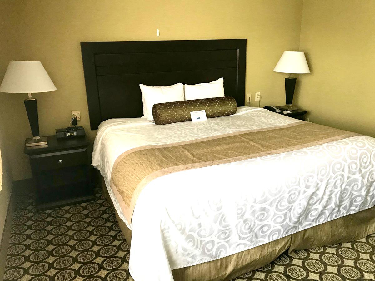 Best Western Plus InnTowner Madison - thumb 12