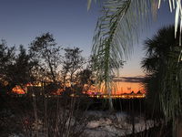 210 Disney Universal Convention Center Tourism Hollywood