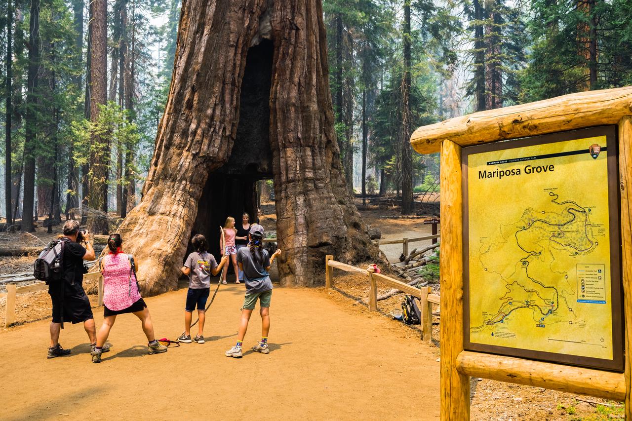 The Yosemite Inn - thumb 11