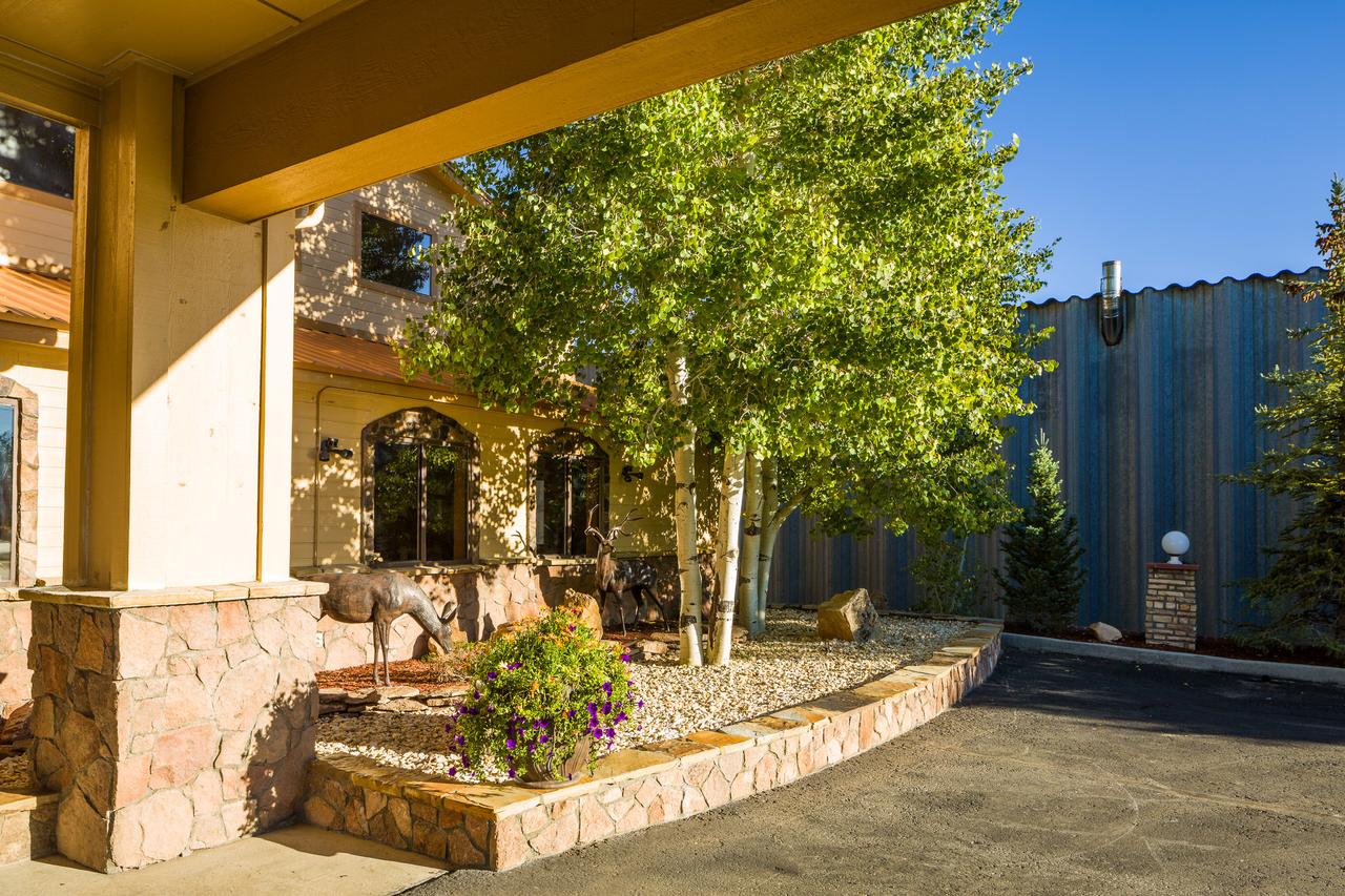 Alpine Inn & Suites Gunnison - thumb 11