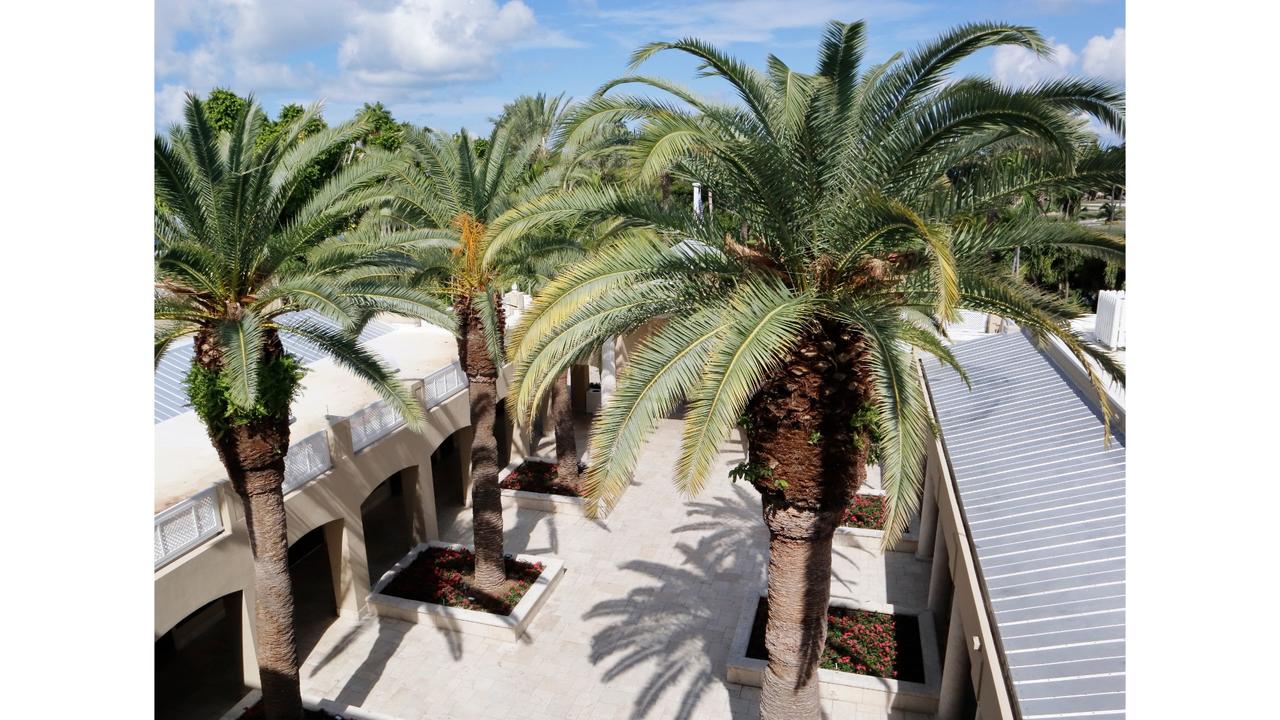 Cheeca Lodge & Spa - thumb 13