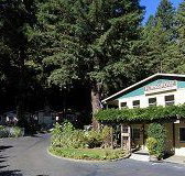 Fern Grove Cottages - Tourism Hollywood