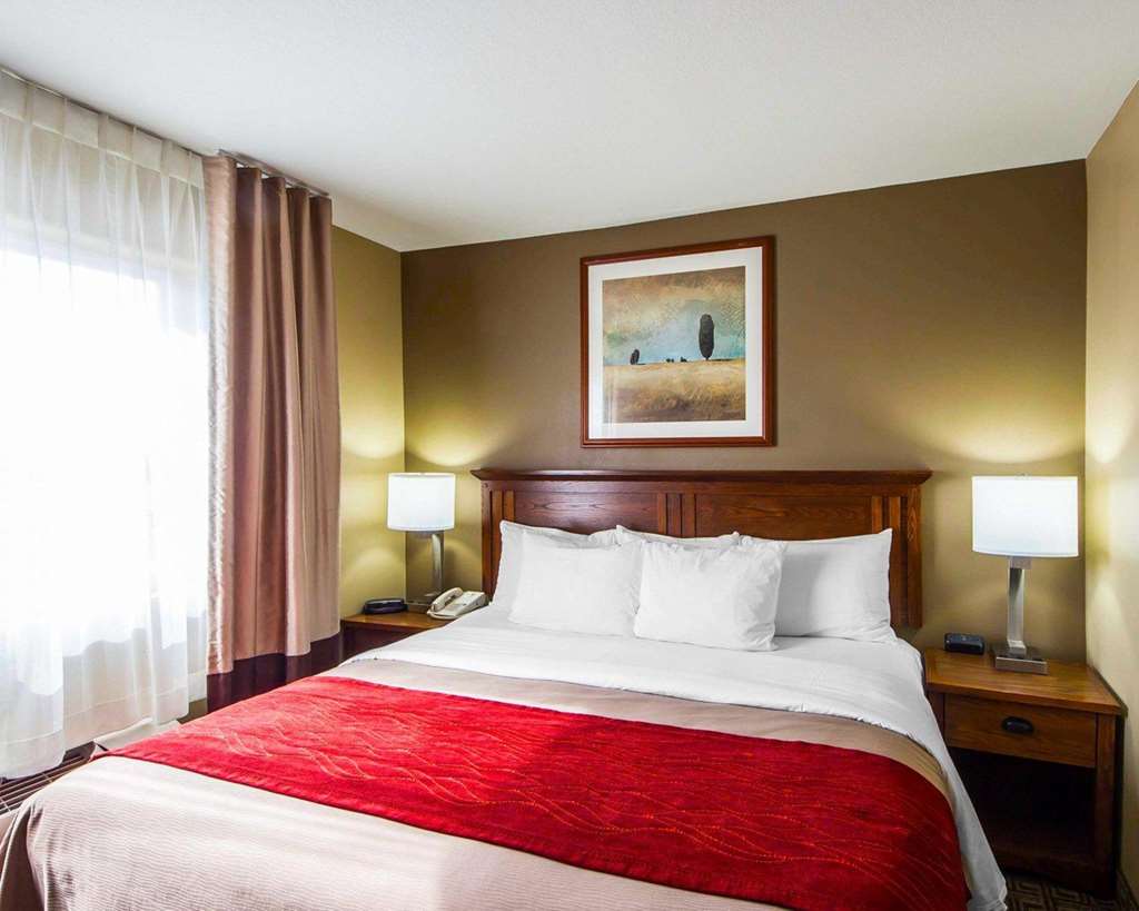 Comfort Inn & Suites - thumb 12