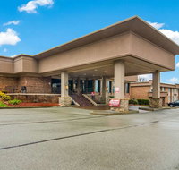 Comfort Inn  Suites - Tourism Hollywood