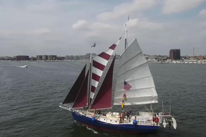 Harbor Sail On Summer Wind